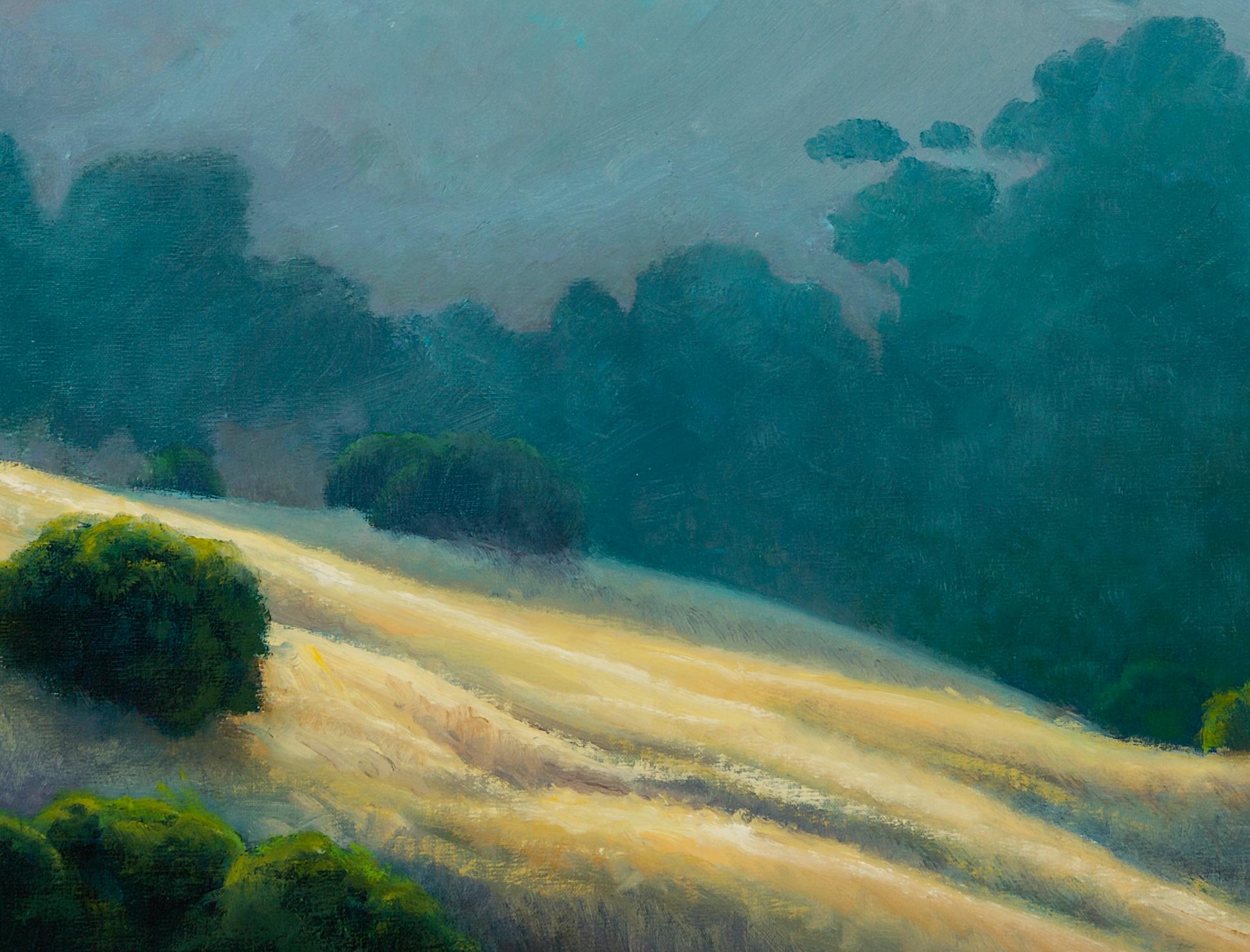 Lifting Fog, Californian Landscape, Armand Cabrera Oil on Canvas In Good Condition In Lantau, HK