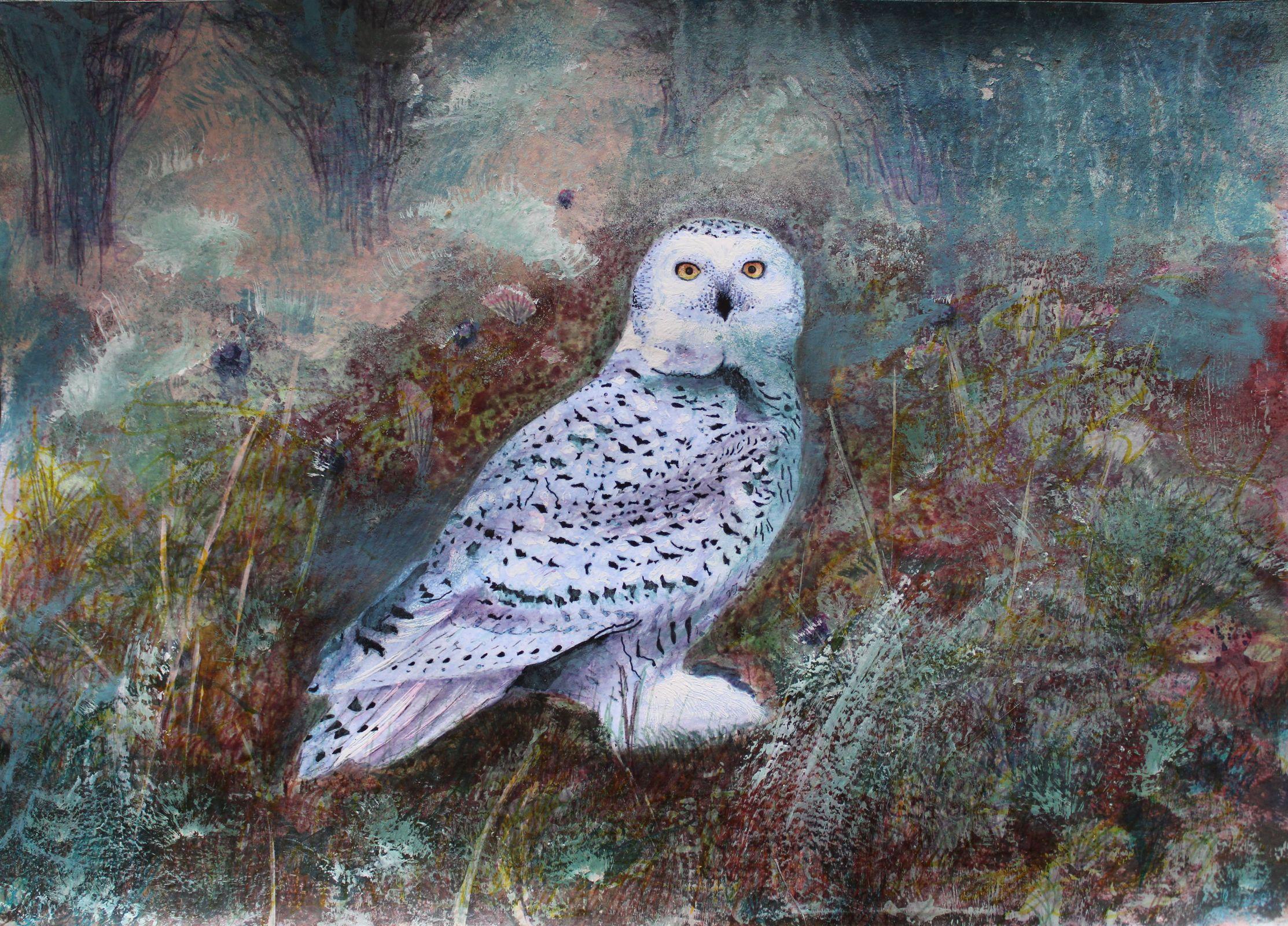 Liga Kalnina Animal Painting - Hedwig. 2022. Paper/mixed media, 30x42 cm