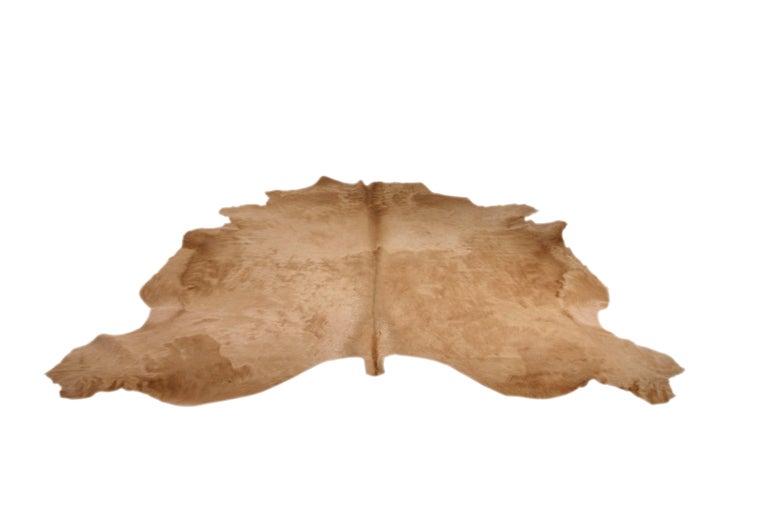 Light Beige Cow Hide Hair Rug For Sale at 1stdibs