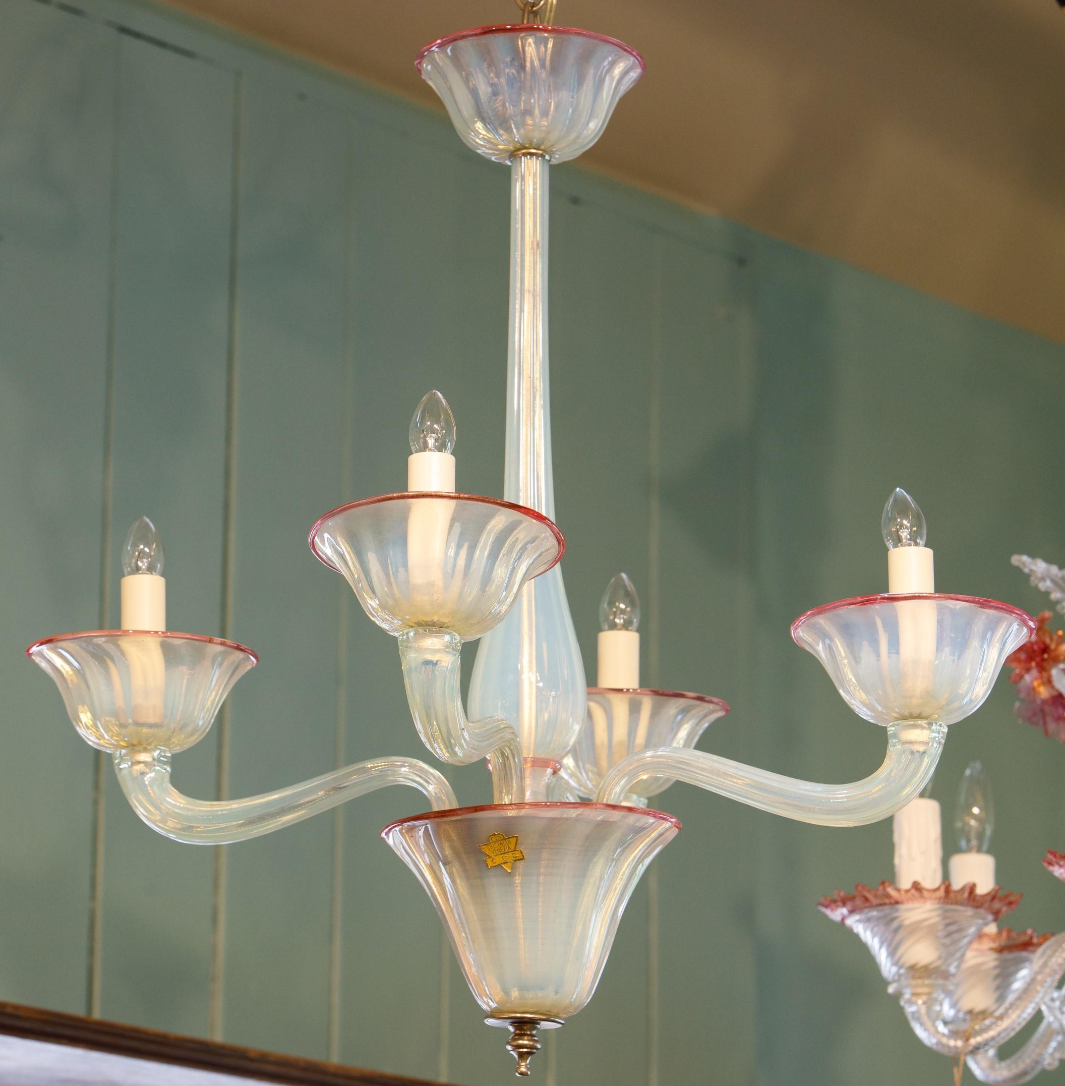 Interesting colored opaline and pink Murano glass chandelier. Hand blown in Murano, Italy in excellent condition with all original parts. Classic Murano style in a contemporary color combination. Re-wired for USA with UL parts. Four candelabra size