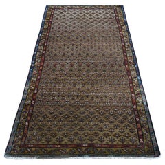 Light Brown, Antique Northwest Persian, Camel Hair, Hand Knotted Wool Runner Rug