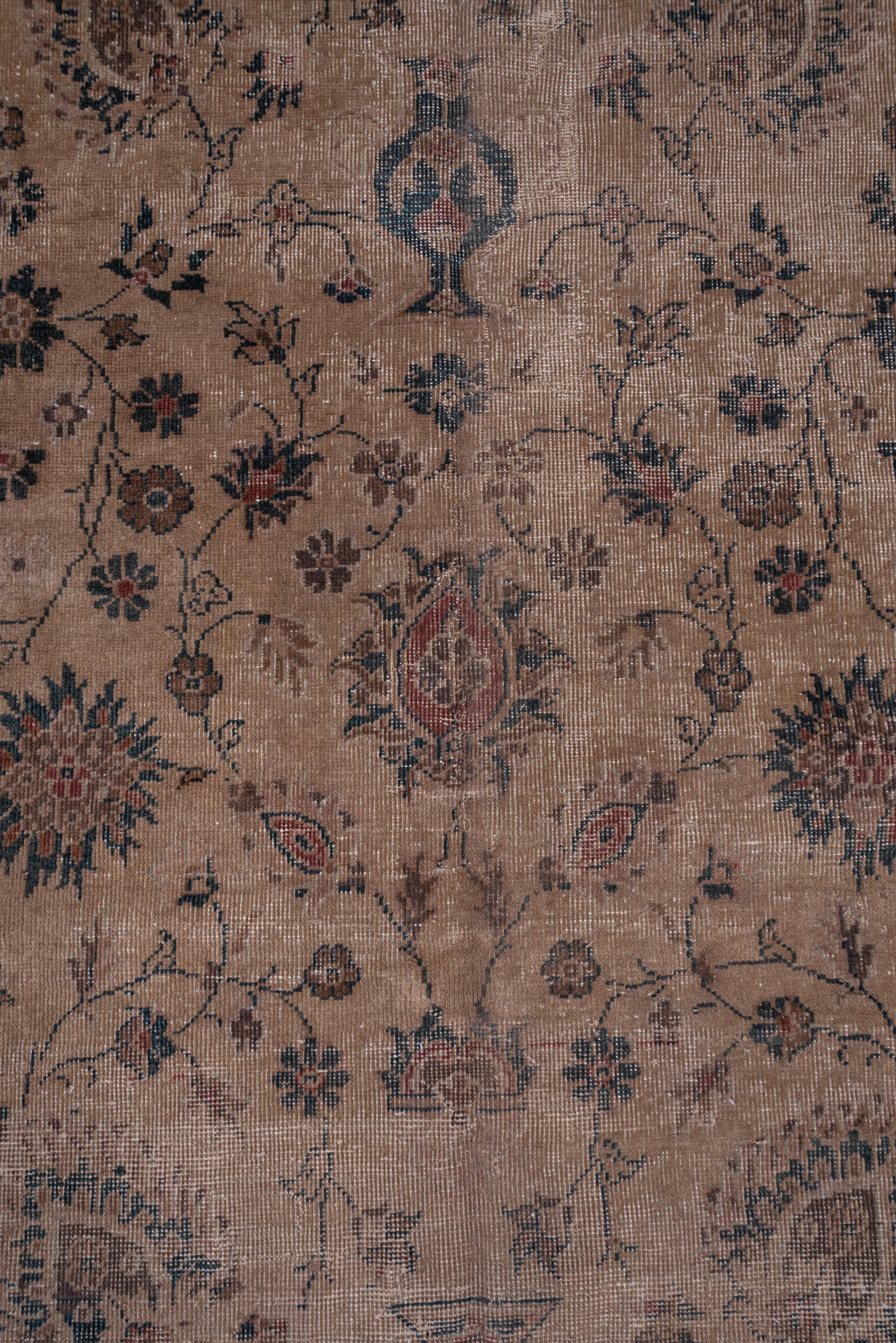 Other Light Brown Antique Sparta Carpet For Sale