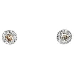 Light Brown Diamond Halo Stud Earrings in White Gold