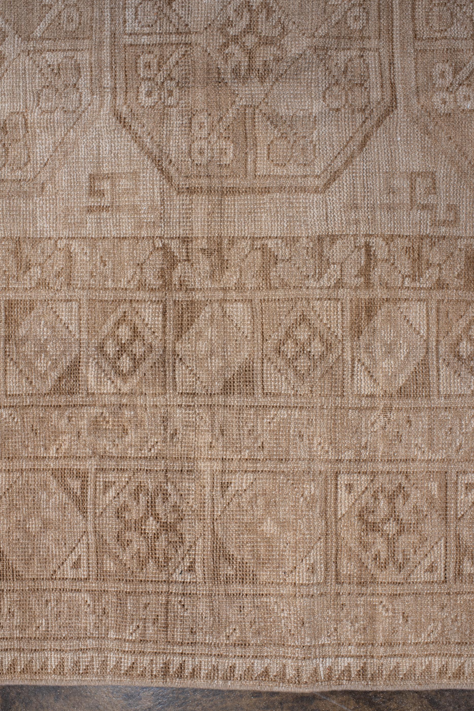 20th Century Light Colored Afghan Antique Rug