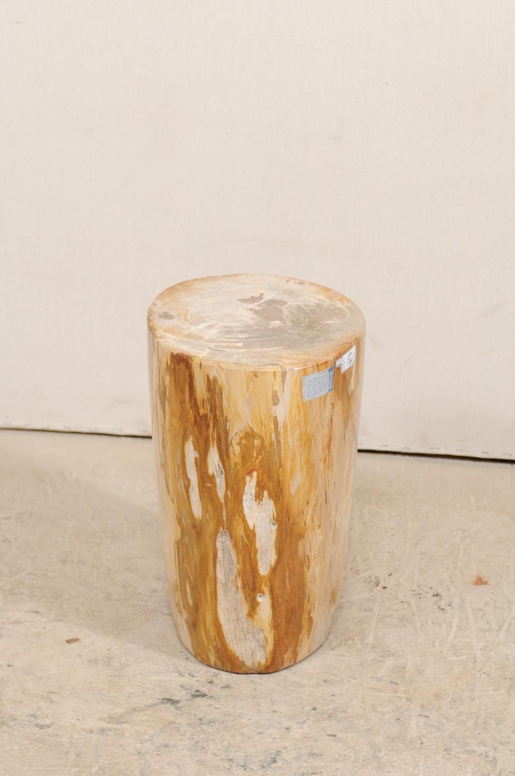 Light Cream and Medium Tan Polished Petrified Wood Drink Table 7