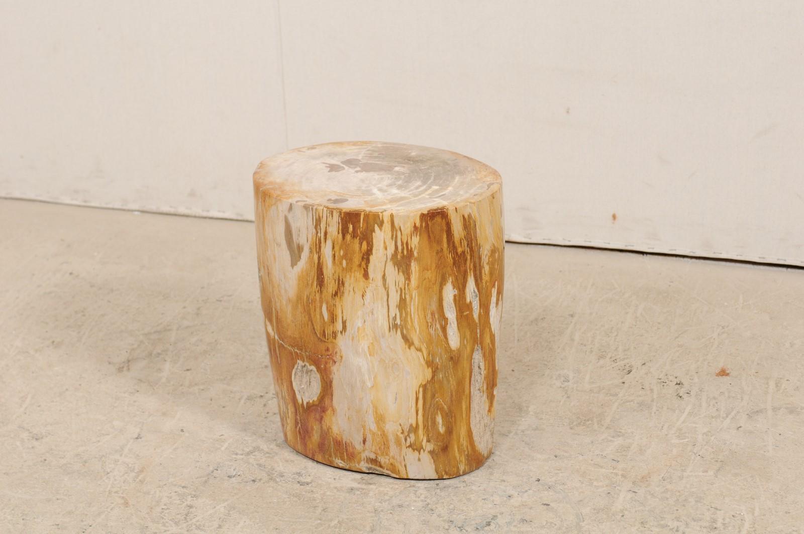 A single light and medium toned petrified wood drinks table or stool. This petrified wood drinks table features a polished finish with hints of natural texture in some areas. Petrified wood is a fossil. Over time, the petrified wood becomes so