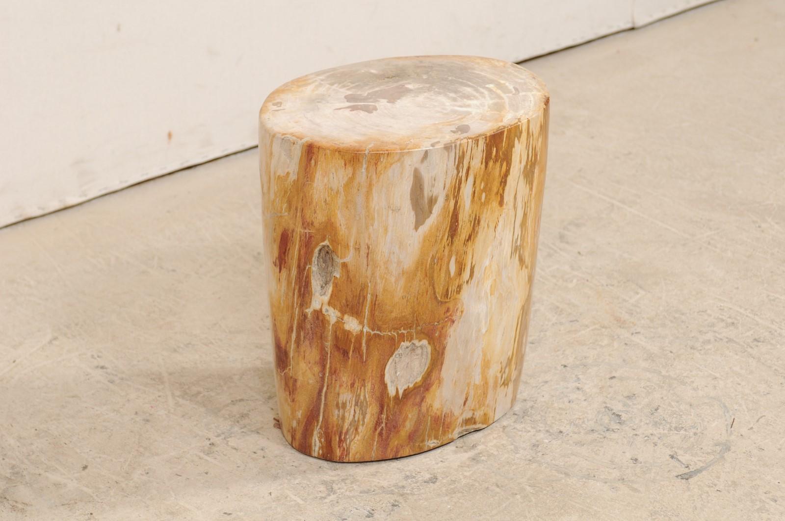 Light Cream and Medium Tan Polished Petrified Wood Drink Table In Good Condition In Atlanta, GA