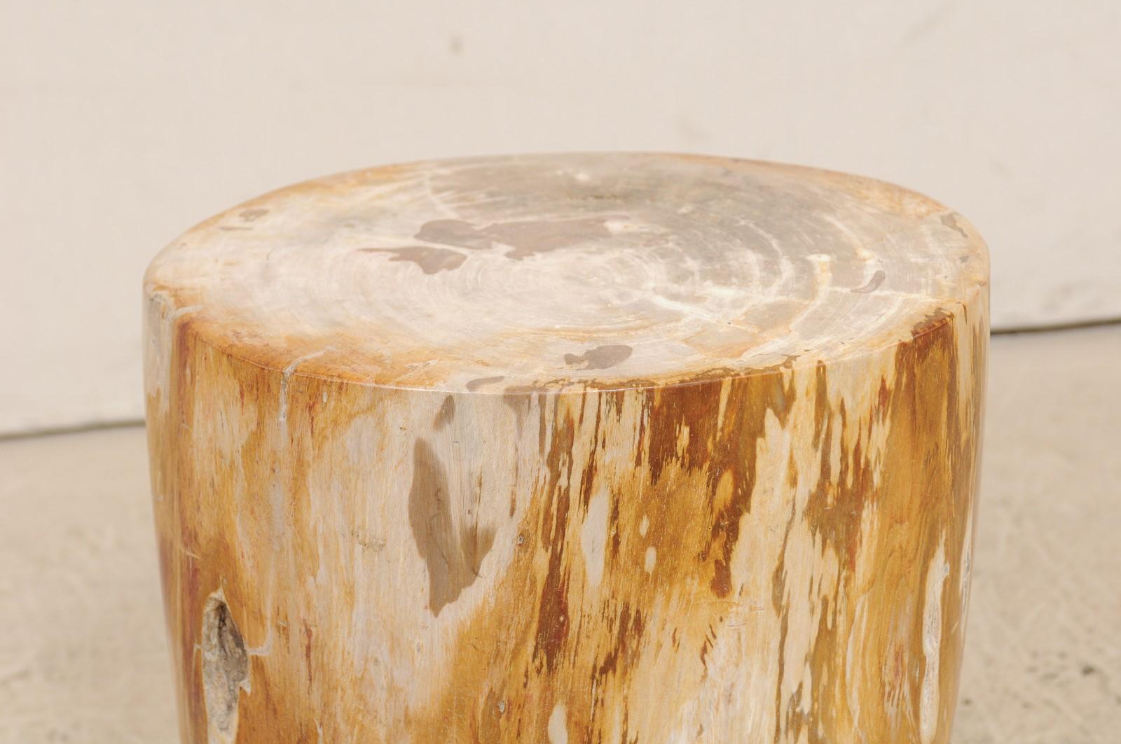 Light Cream and Medium Tan Polished Petrified Wood Drink Table 1