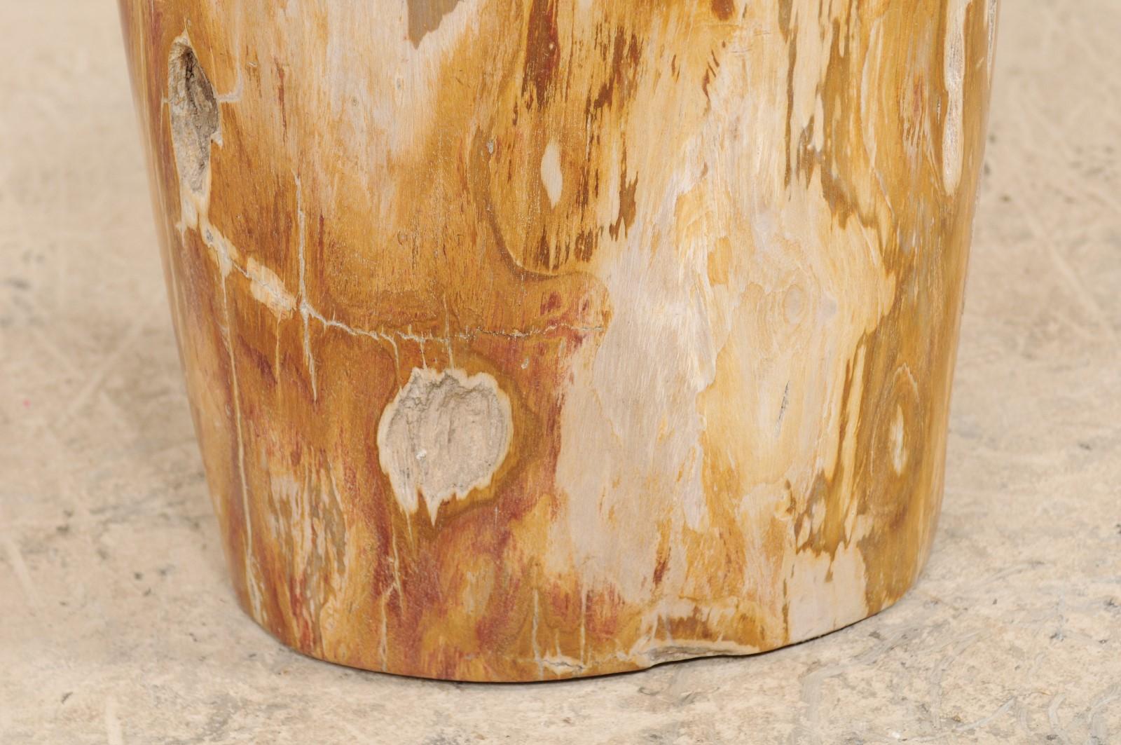 Light Cream and Medium Tan Polished Petrified Wood Drink Table 2