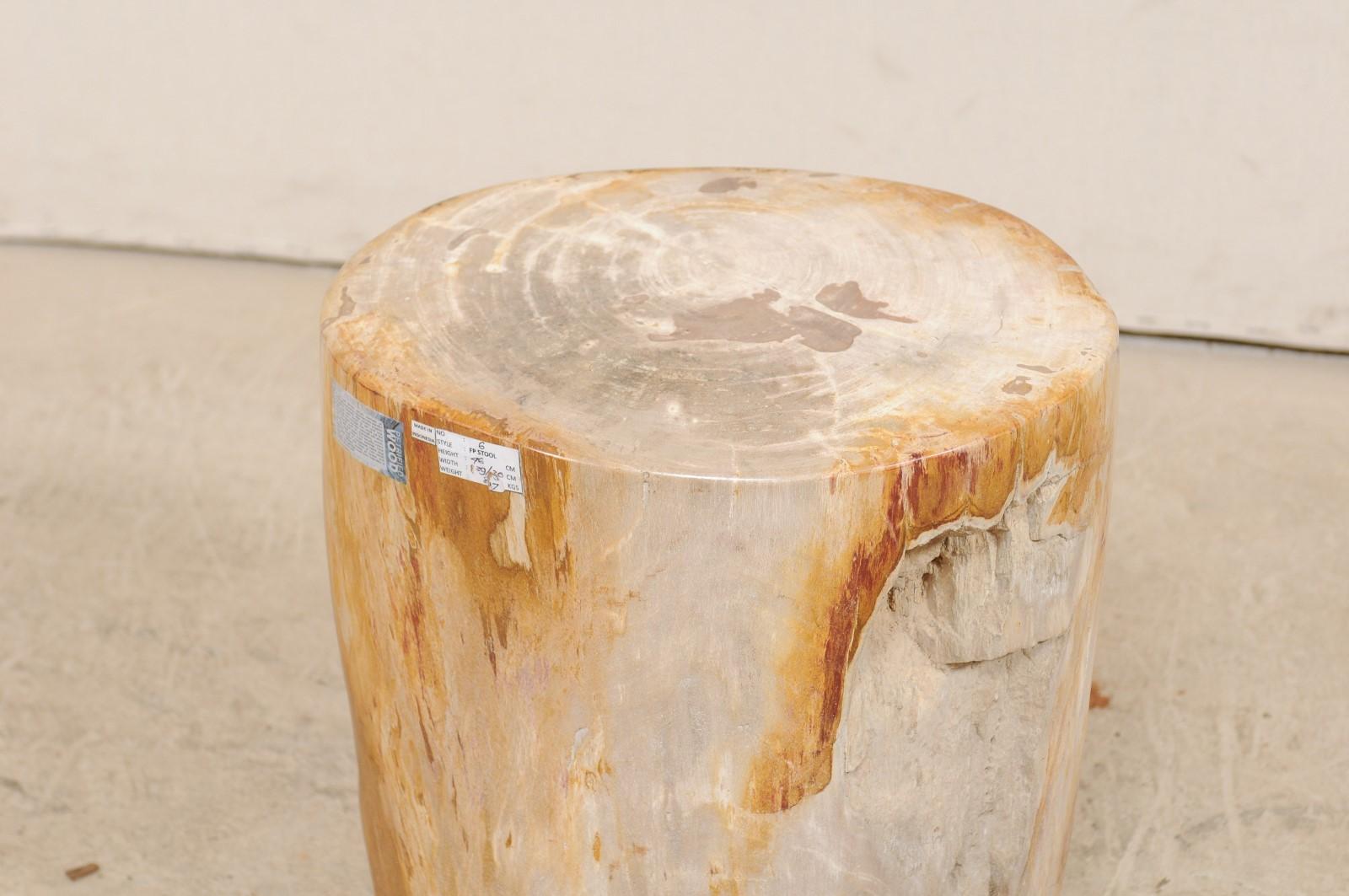 Light Cream and Medium Tan Polished Petrified Wood Drink Table 3