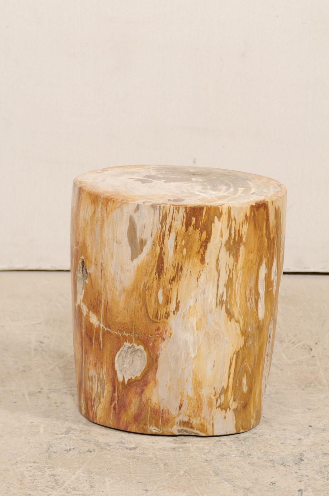 Light Cream and Medium Tan Polished Petrified Wood Drink Table 4