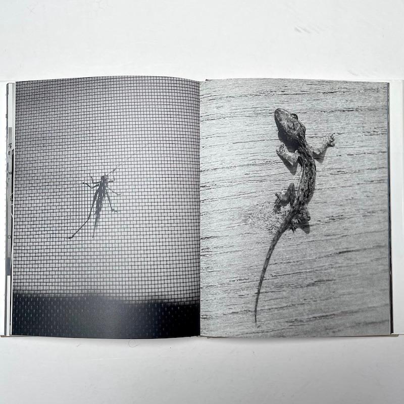 20th Century Light From Within, Photojournals by Linda McCartney