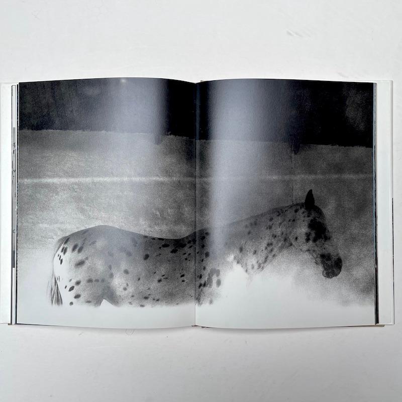 Paper Light From Within, Photojournals by Linda McCartney