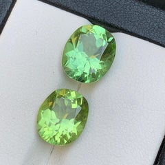 Peridoto naturale verde chiaro taglio ovale da 7,82 carati, pacco di gemme sfuse, Pakistan