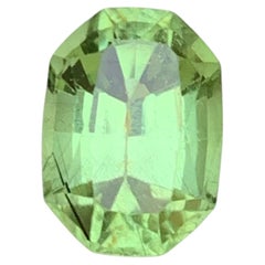 Peridot Rutile Naturel Vert Clair 4.21 Ct Octagon Cut Gemstones Loose pour Bague