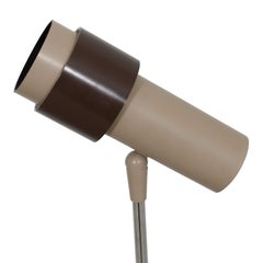 Light-O-Lier Floor Lamp