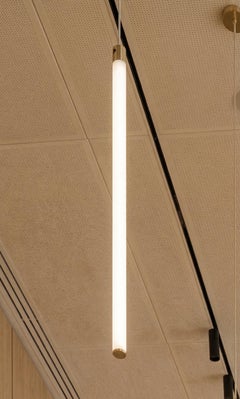 Light Object 017 Pendant with 1 Light Tube in Brass by Naama Hofman