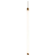 Light Object 017 Pendant with 1 Light Tube in Brass by Naama Hofman