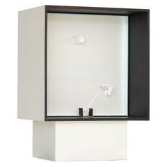 Lichtprisma von Alberto Biasi, limitierte Auflage, 1967