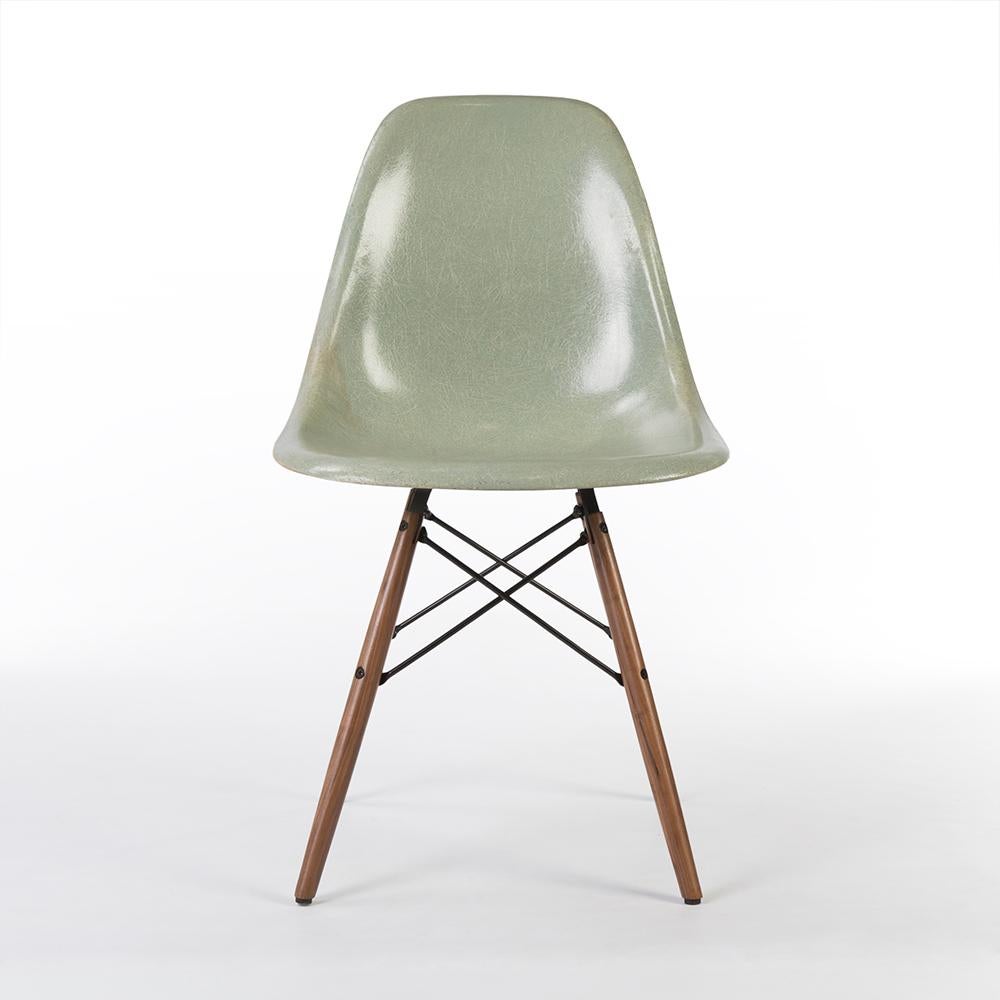 This is a gorgeous used, light seafoam Herman Miller Eames side shell chair with a new walnut wood dowel base. Despite some minor watermarks and scratches, the chair remains in good condition, with the shell still polished nicely.