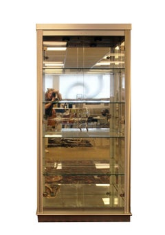 Lighted Chrome & Glass Shelving Etagere Modern Storage Unit W Doors