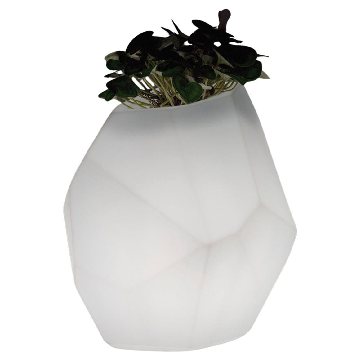 Lighted Secret Pot by Rosaria Rattin For Sale