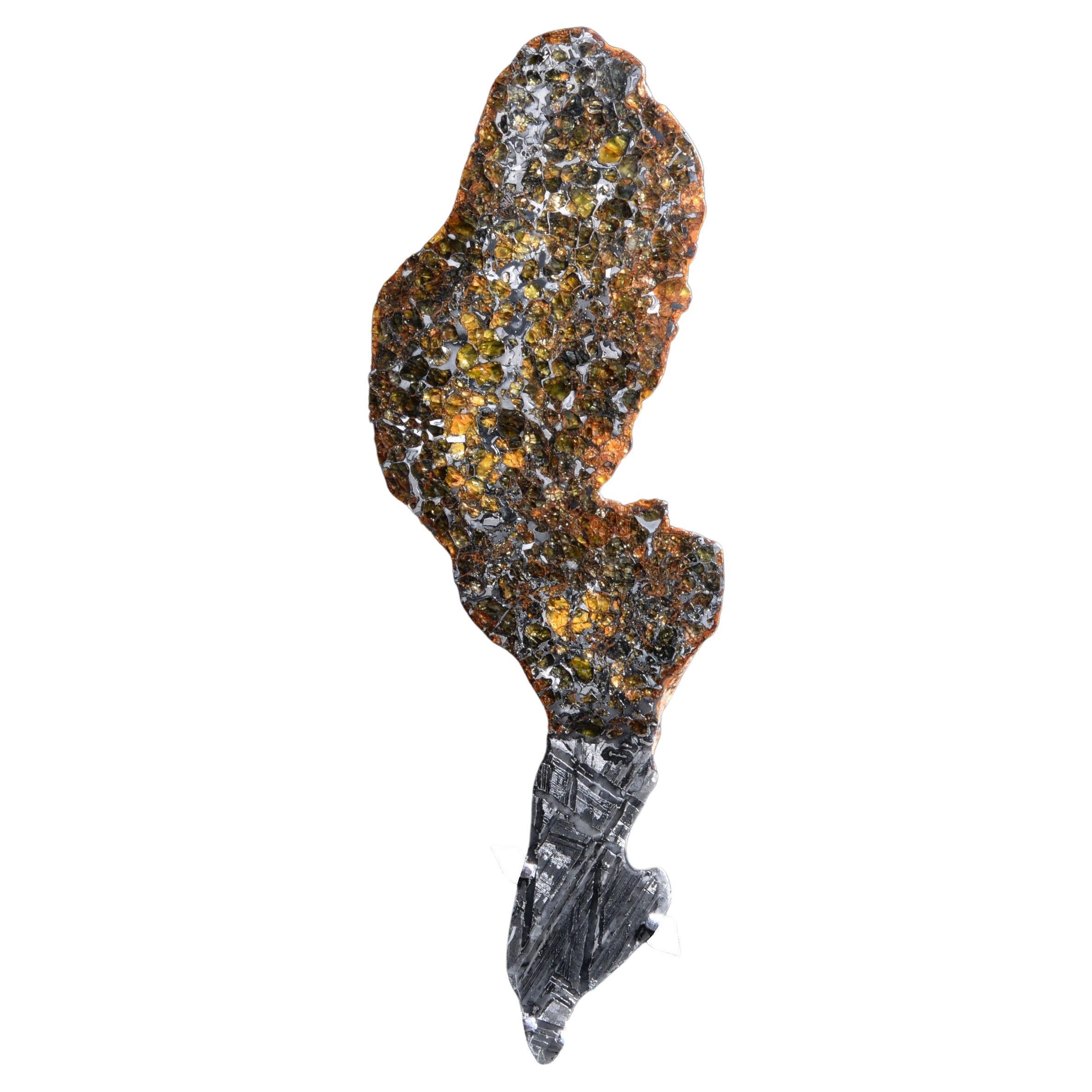 Lightning Bolt Shaped Meteorite Endcut For Sale