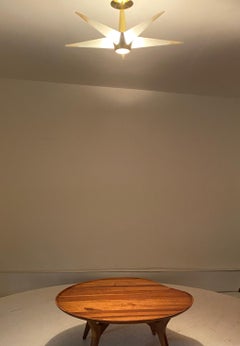 Lightolier Starburst Chandelier