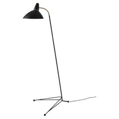 Lightsome Black Noir Floor Lamp by Warm Nordic