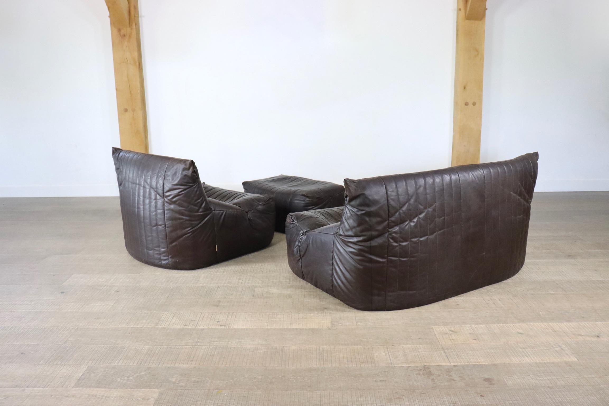Ligne Roset Aralia seating group in brown leather by Michel Ducaroy, 1970s 5