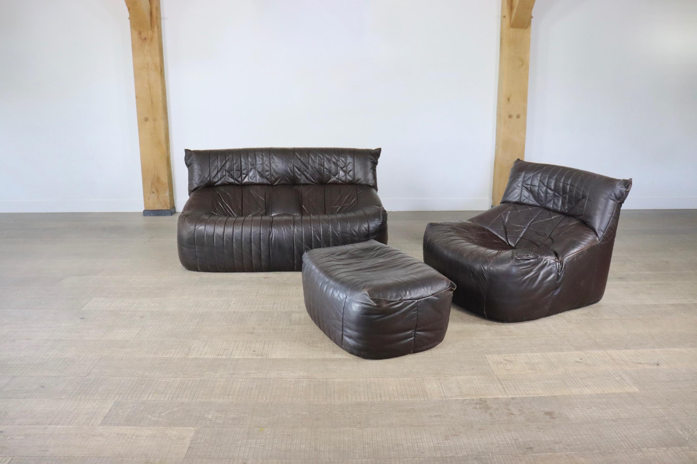 Mid-20th Century Ligne Roset Aralia seating group in brown leather by Michel Ducaroy, 1970s
