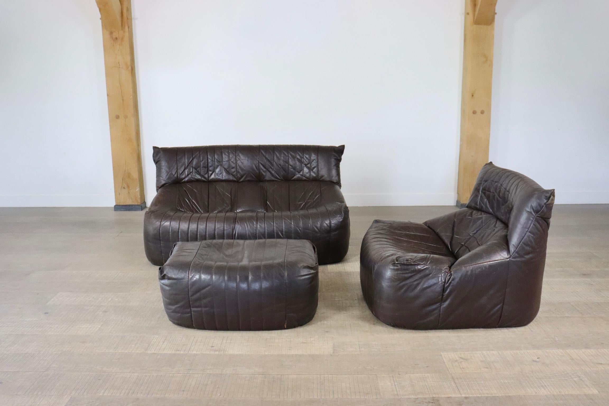 Leather Ligne Roset Aralia seating group in brown leather by Michel Ducaroy, 1970s