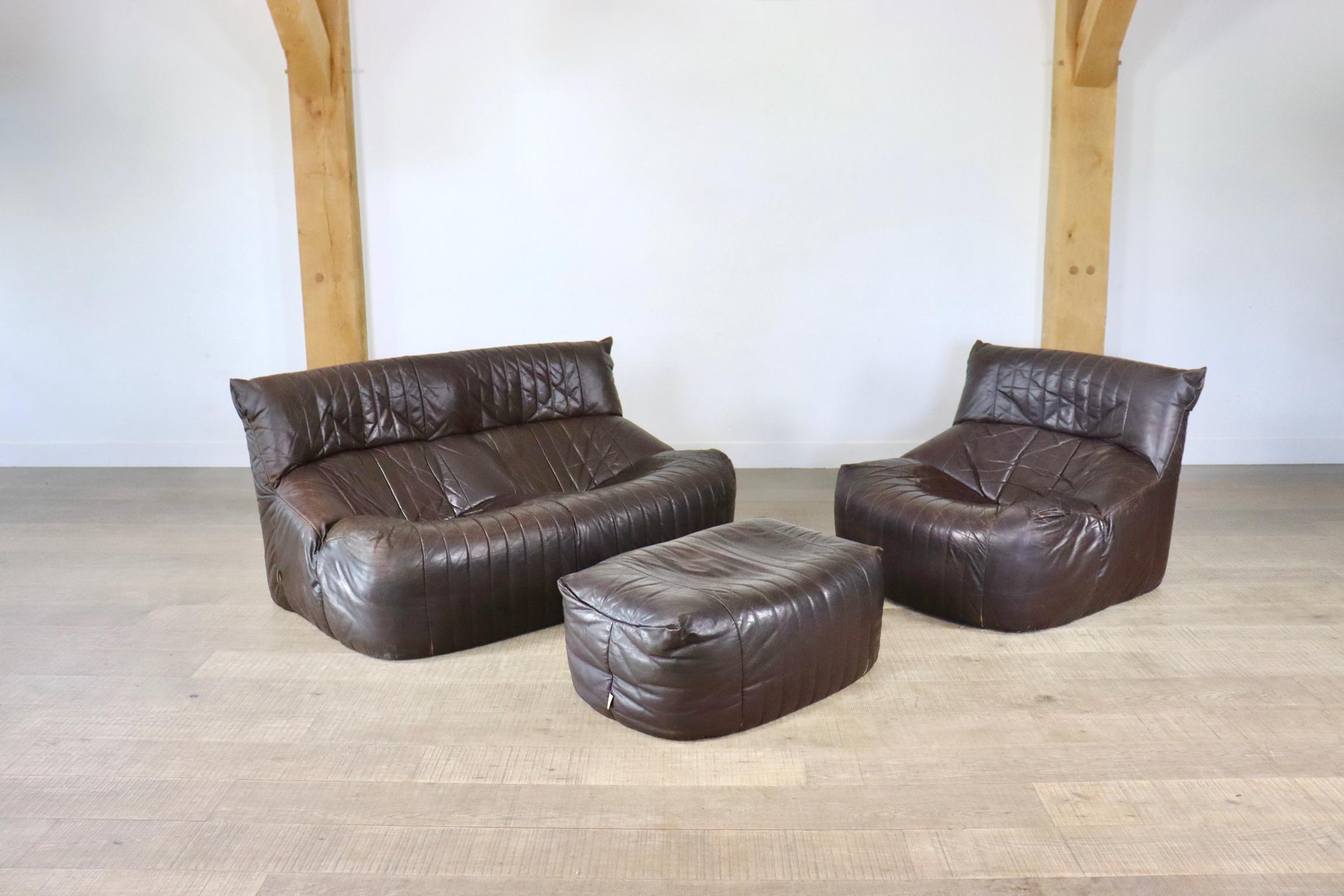 Ligne Roset Aralia seating group in brown leather by Michel Ducaroy, 1970s 1