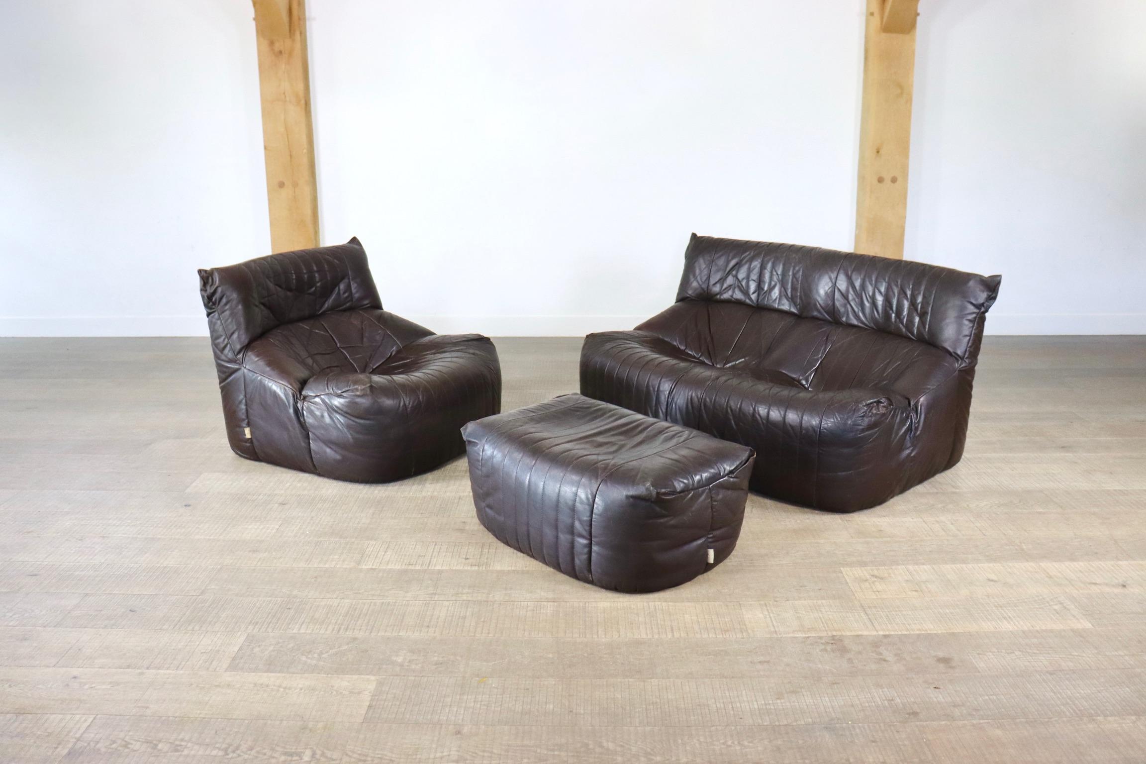 Ligne Roset Aralia seating group in brown leather by Michel Ducaroy, 1970s 3