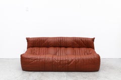 Ligne Roset 'Aralia' Sofa von Michel Ducaroy