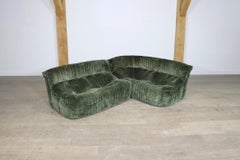 Ligne Roset Aralia Sofa In Green Velvet By Michel Ducaroy, France 1970s