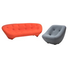 Ligne Roset by Erwan & Ronan Bouroullec Sofa & Pierre Paulin Bonnie Armchair