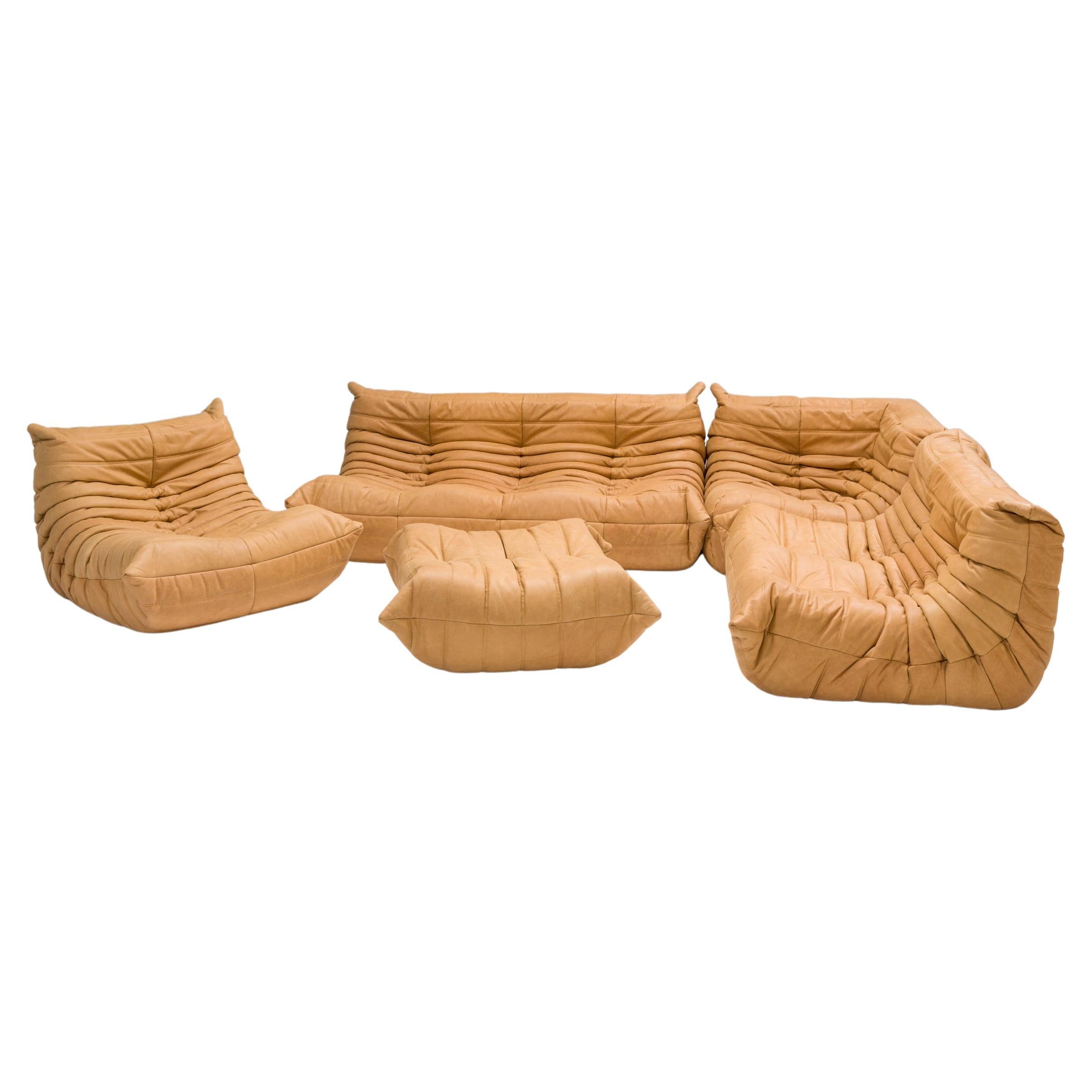 Ligne Roset by Michel Ducaroy Camel Brown Leather Togo, Set of Five