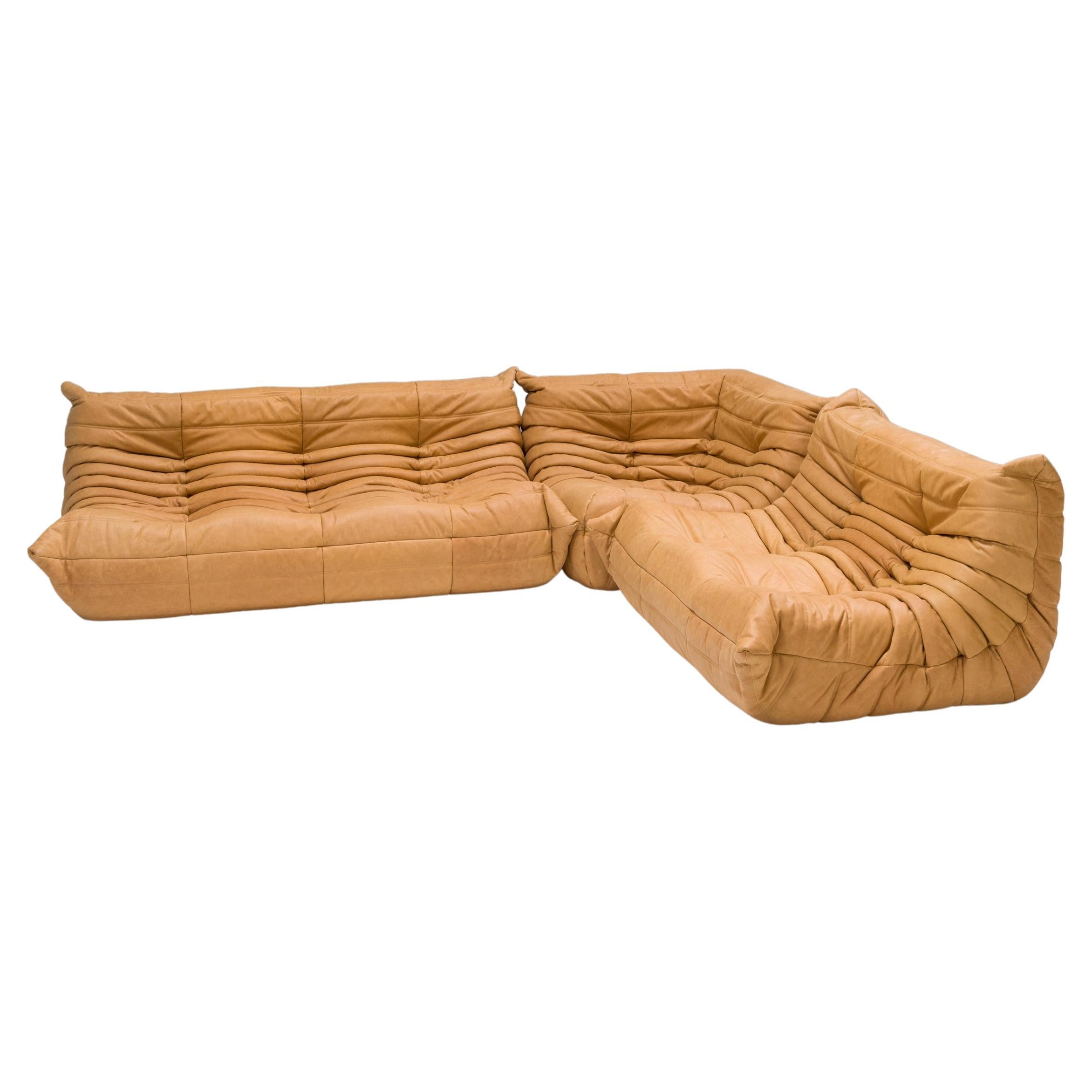 Ligne Roset By Michel Ducaroy Camel Brown Leather Togo, Set Of Three -  Occasion | auctionlab