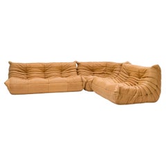 Used Ligne Roset by Michel Ducaroy Camel Brown Leather Togo, Set of Three