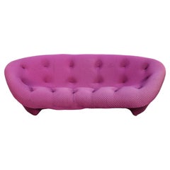 Ligne Roset High Back Magenta Ploum Sofa by Ronan & Erwan Bouroullec