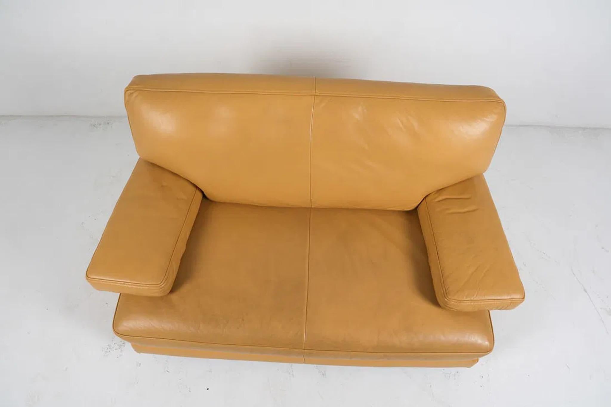 Sofá de piel Ligne Roset Francés en venta