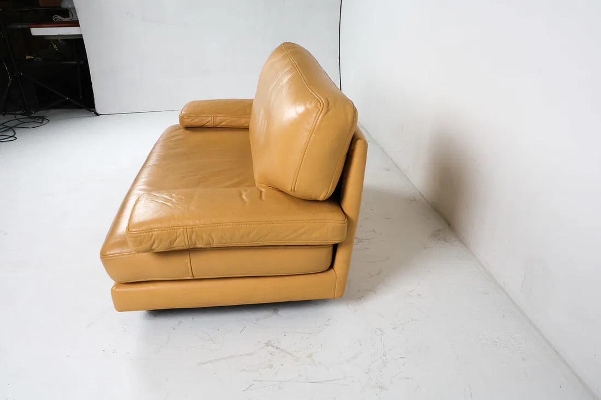 Sofá de piel Ligne Roset en Bueno estado para la venta en Bridgeport, CT