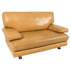 Sofá de piel Ligne Roset