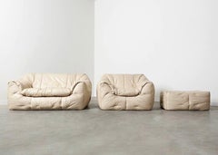 Ligne Roset leather sofa set