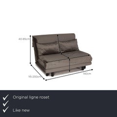 Ligne Roset Multy Fabric Sofa Gray Couch Function Sofa Bed