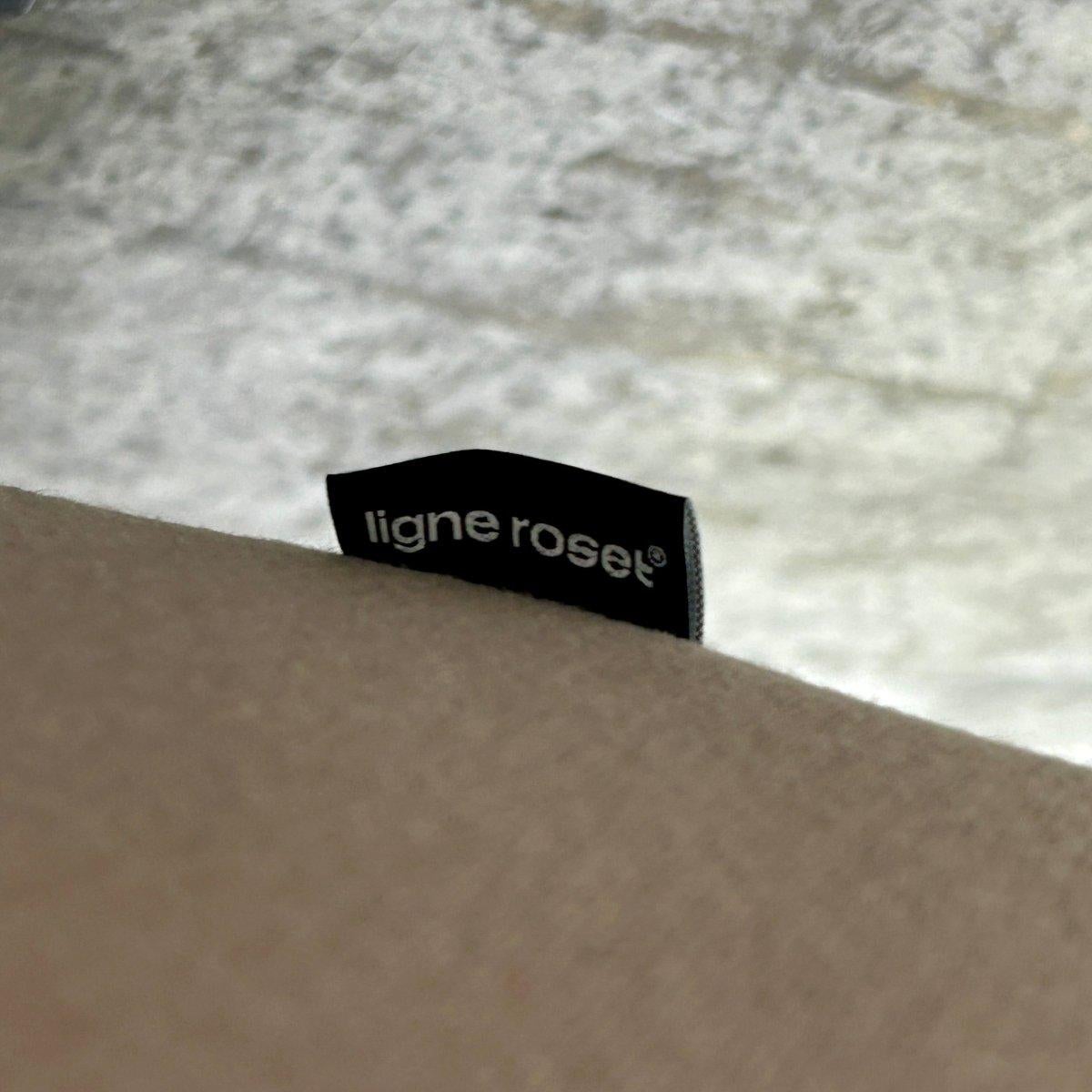 Ligne Roset Prado Sofa and Ottomans by Christian Werner, Set of Three For Sale 4