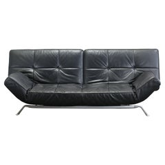 Ligne Roset Smala Sofa by Pascal Morgue
