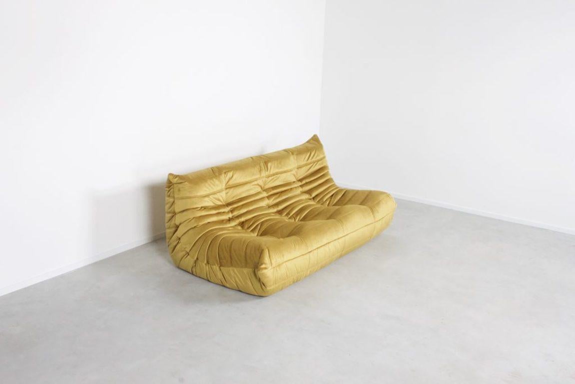 Togo three-seat by Michel Duraroy for Ligne Roset in excellent condition. 

Two sofas available

Reupholstered in a high quality gold colored velours which gives a beautiful and rich effect.

The Togo features an ergonomic design with multiple