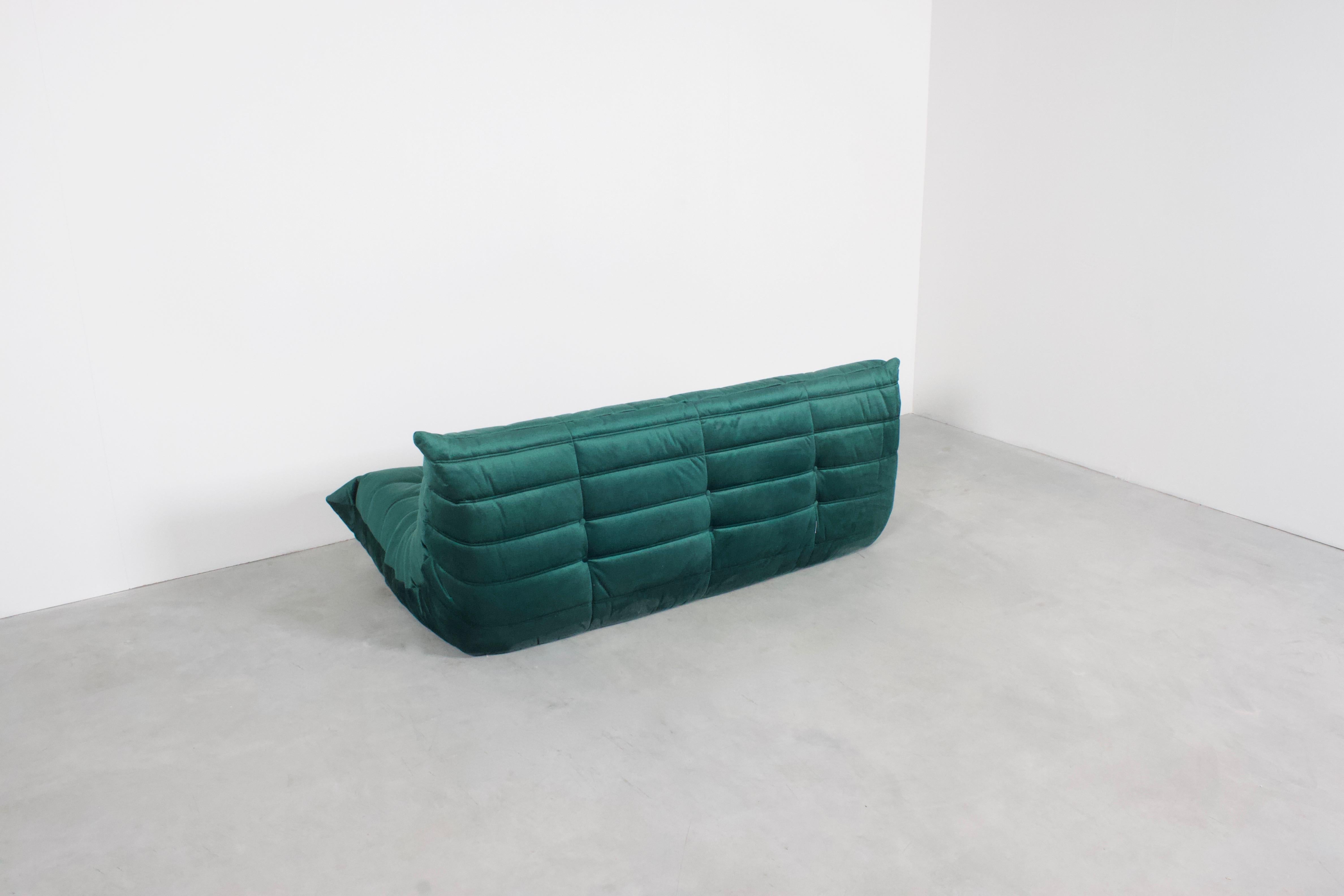 michel ducaroy sofa